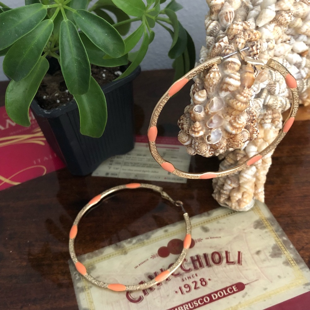 Coral Hoop Earrings